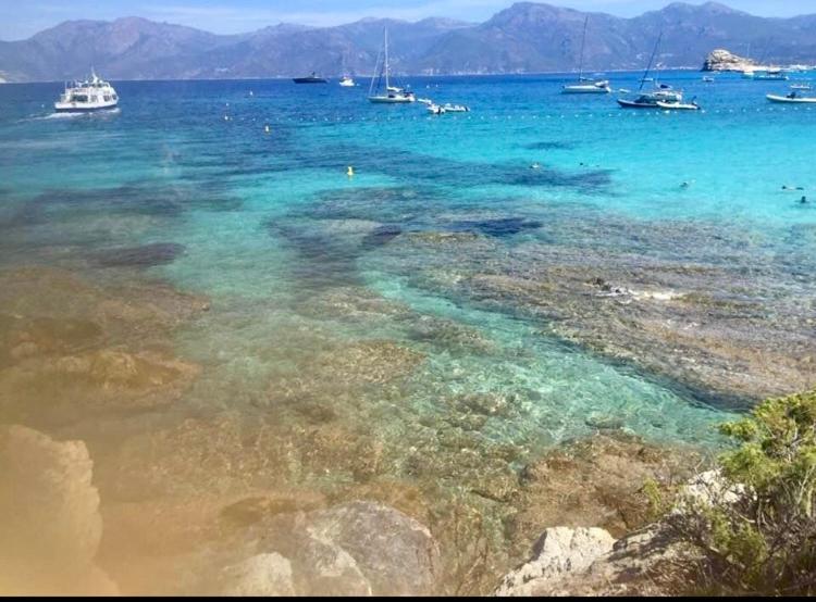 Villa Le Corail Rouge Corse Lecci Esterno foto