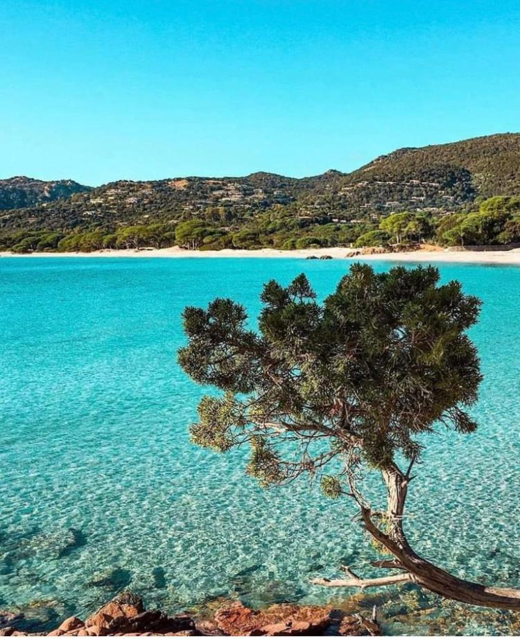 Villa Le Corail Rouge Corse Lecci Esterno foto