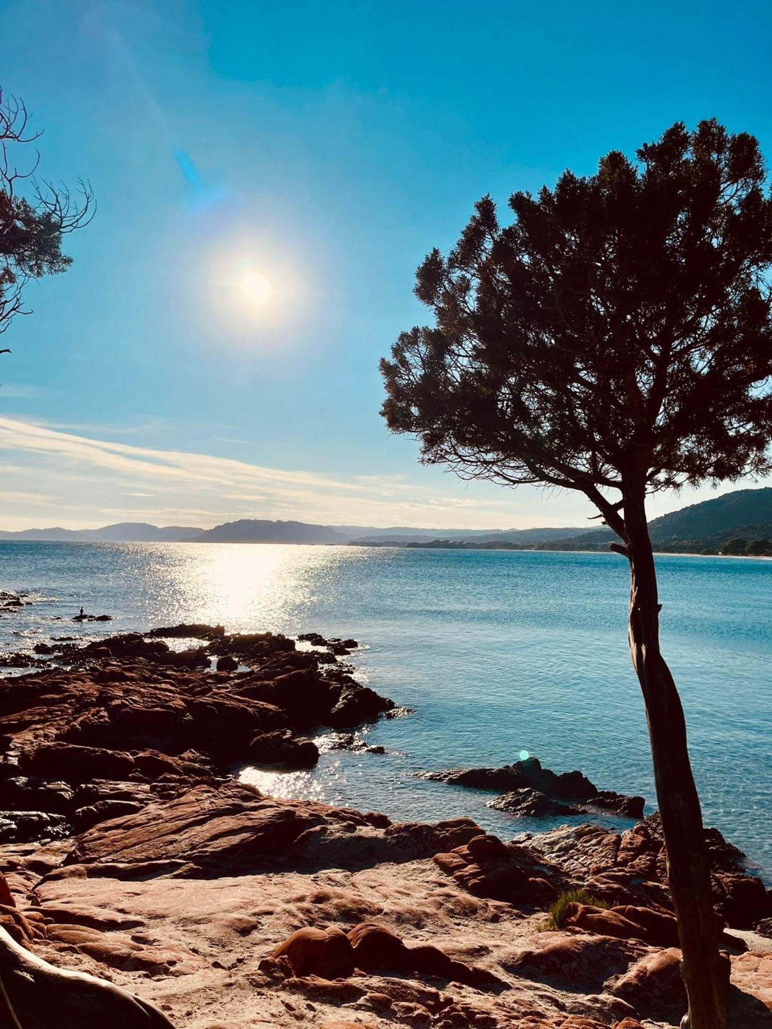 Villa Le Corail Rouge Corse Lecci Esterno foto