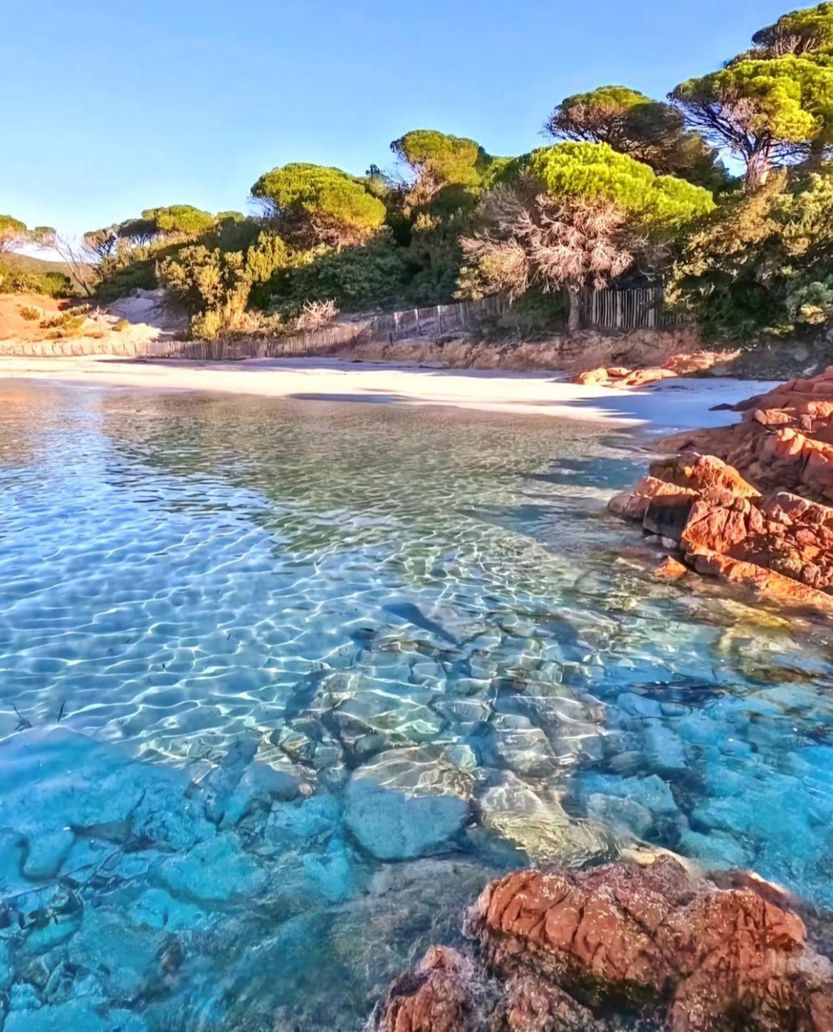 Villa Le Corail Rouge Corse Lecci Esterno foto