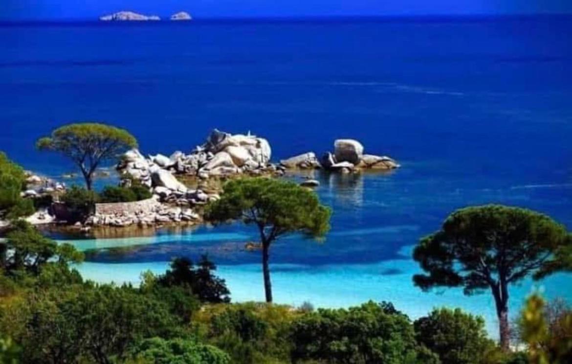 Villa Le Corail Rouge Corse Lecci Esterno foto